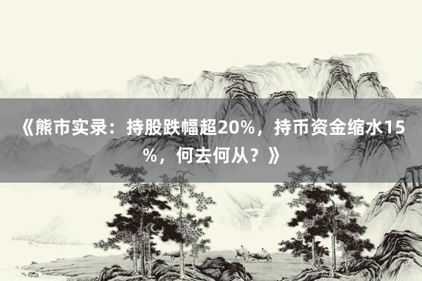 《熊市实录:持股跌幅超20%,持币资金缩水15%,何去何从?》