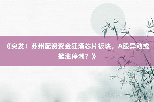 《突发！苏州配资资金狂涌芯片板块，A股异动或掀涨停潮？》