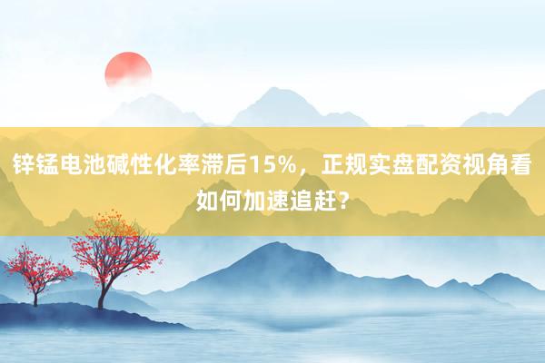 锌锰电池碱性化率滞后15%，正规实盘配资视角看如何加速追赶？