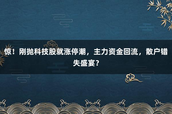 惊！刚抛科技股就涨停潮，主力资金回流，散户错失盛宴？
