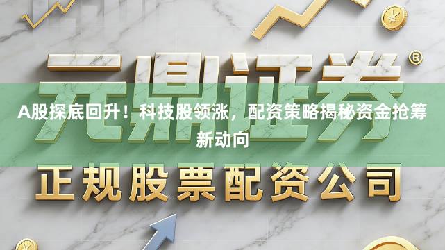 A股探底回升！科技股领涨，配资策略揭秘资金抢筹新动向