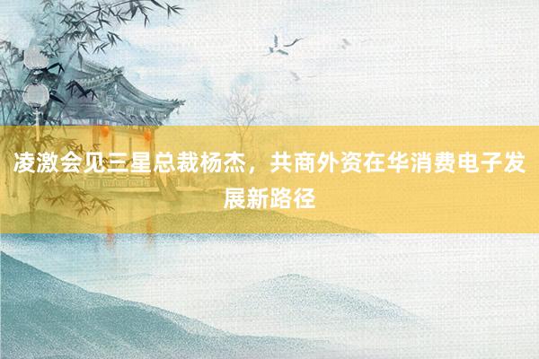 凌激会见三星总裁杨杰，共商外资在华消费电子发展新路径