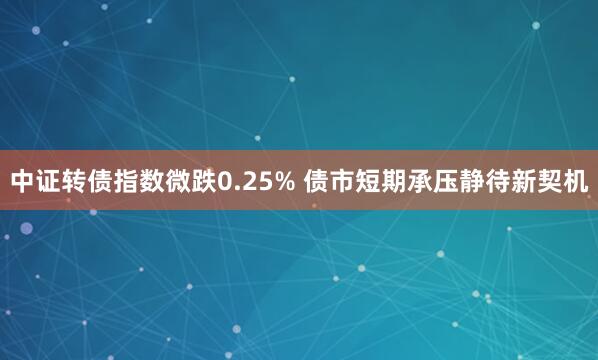 中证转债指数微跌0.25% 债市短期承压静待新契机