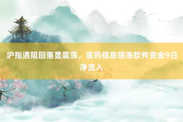 沪指遇阻回落显震荡，医药信息领涨软件资金9日净流入
