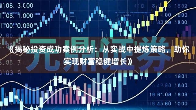 《揭秘投资成功案例分析：从实战中提炼策略，助你实现财富稳健增长》
