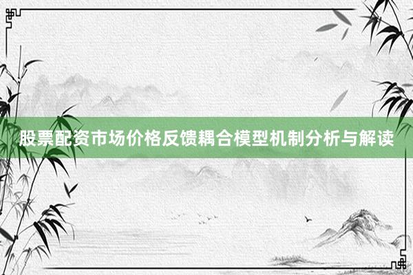 股票配资市场价格反馈耦合模型机制分析与解读