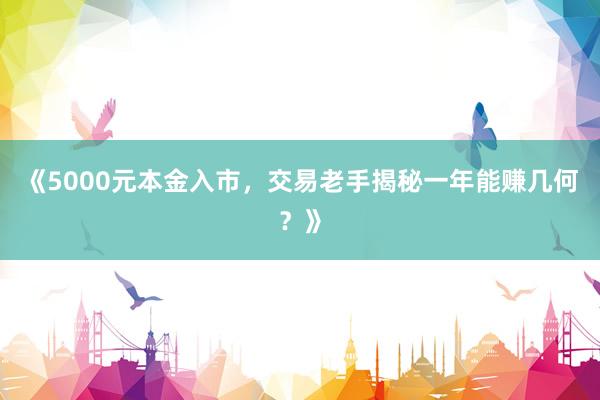 《5000元本金入市，交易老手揭秘一年能赚几何？》
