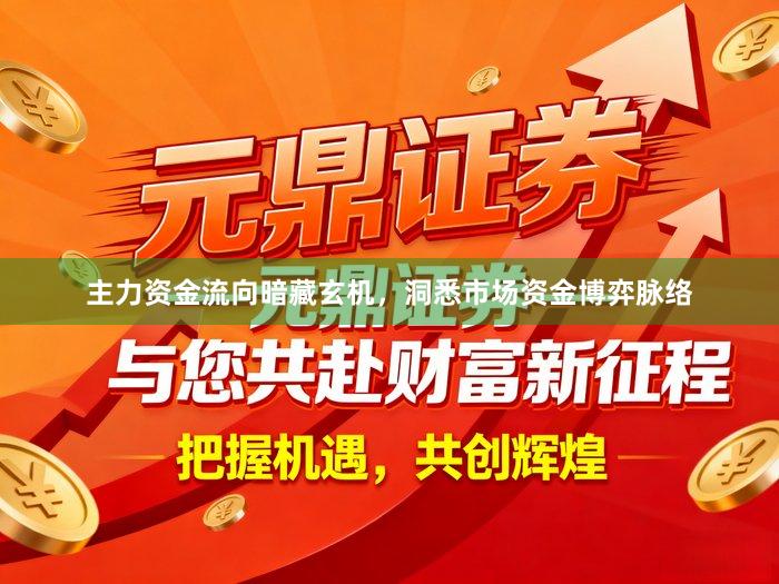 主力资金流向暗藏玄机，洞悉市场资金博弈脉络