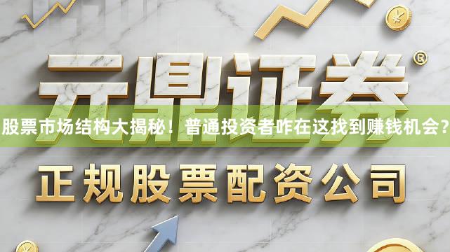 股票市场结构大揭秘！普通投资者咋在这找到赚钱机会？