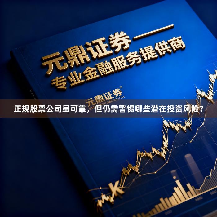 正规股票公司虽可靠，但仍需警惕哪些潜在投资风险？
