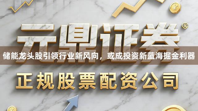 储能龙头股引领行业新风向，或成投资新蓝海掘金利器