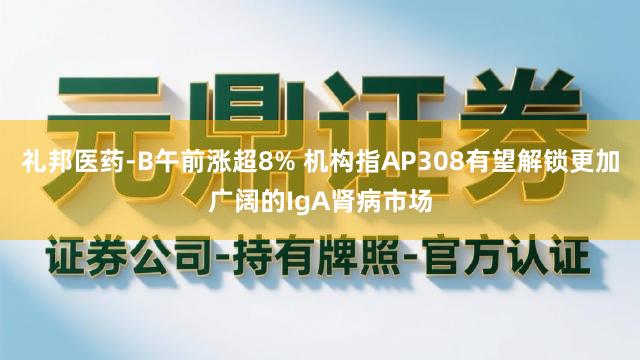 礼邦医药-B午前涨超8% 机构指AP308有望解锁更加广阔的IgA肾病市场