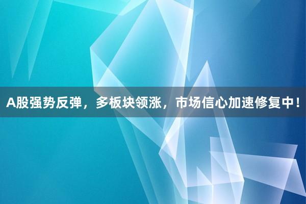 A股强势反弹，多板块领涨，市场信心加速修复中！