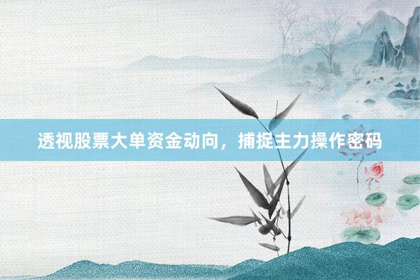 透视股票大单资金动向，捕捉主力操作密码