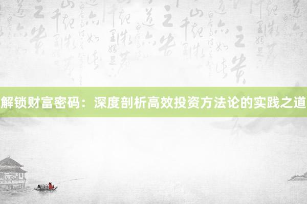 解锁财富密码：深度剖析高效投资方法论的实践之道