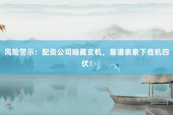 风险警示：配资公司暗藏玄机，靠谱表象下危机四伏！