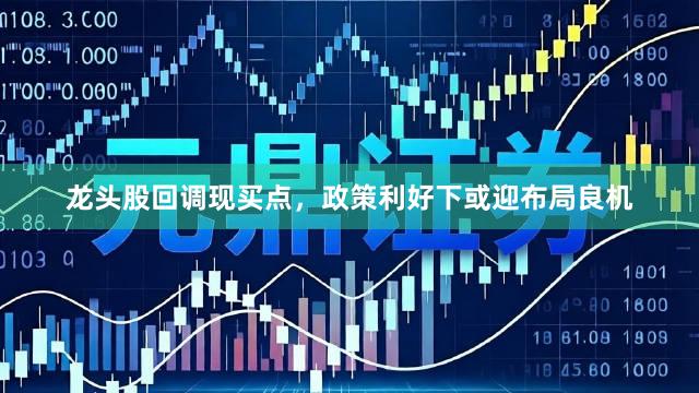 龙头股回调现买点，政策利好下或迎布局良机