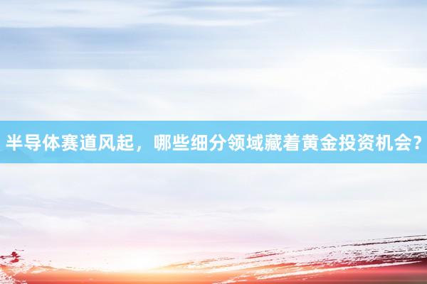 半导体赛道风起，哪些细分领域藏着黄金投资机会？