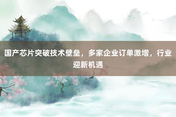 国产芯片突破技术壁垒,多家企业订单激增,行业迎新机遇