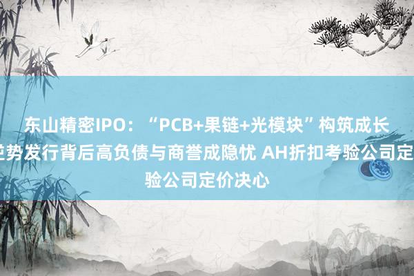 东山精密IPO：“PCB+果链+光模块”构筑成长叙事 逆势发行背后高负债与商誉成隐忧 AH折扣考验公司定价决心